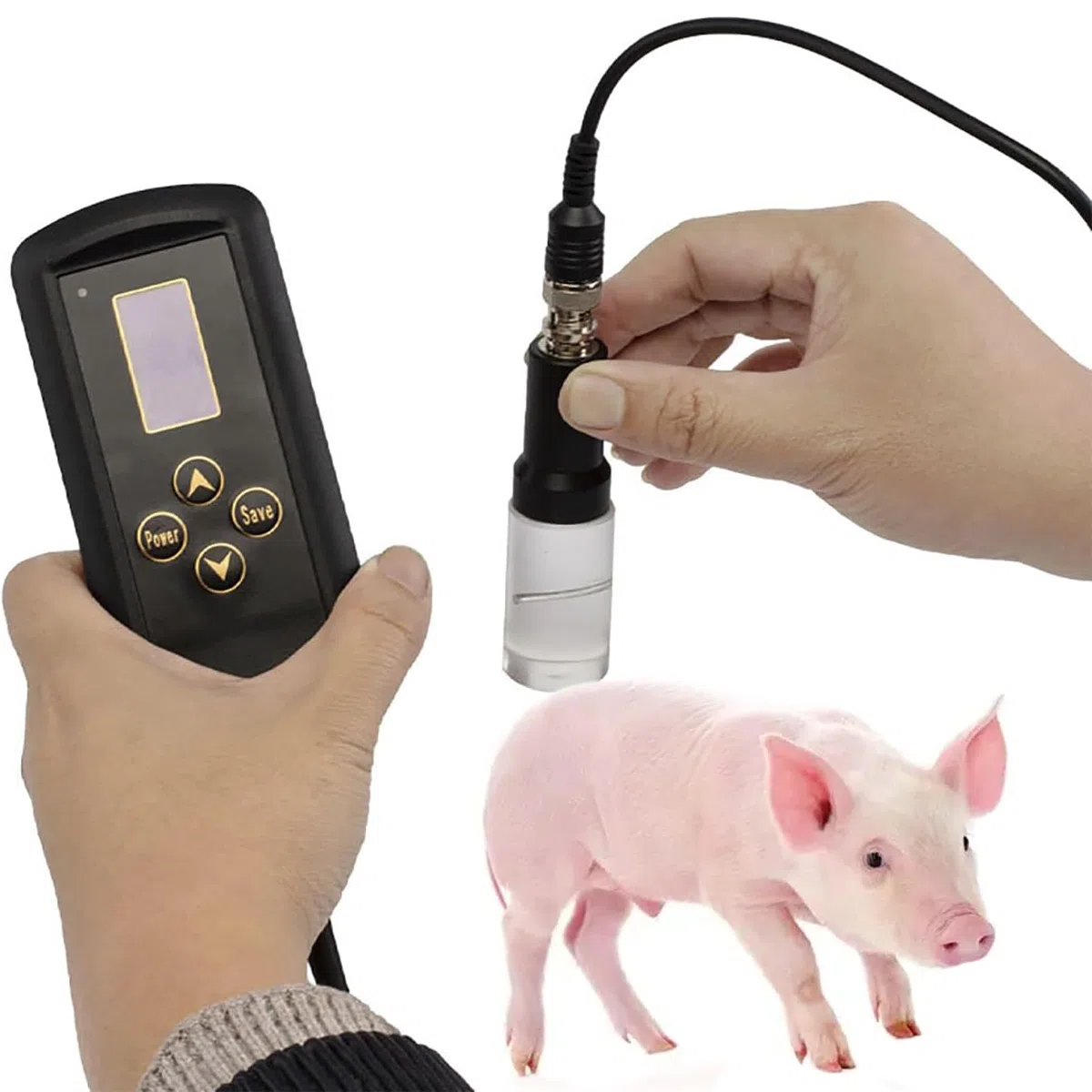Backfat Dickenmessgerät, 4-45 mm Messbereich, LCD-Bildschirm, 999 Datenspeicherung, für Schwein, Schaf, Rinder